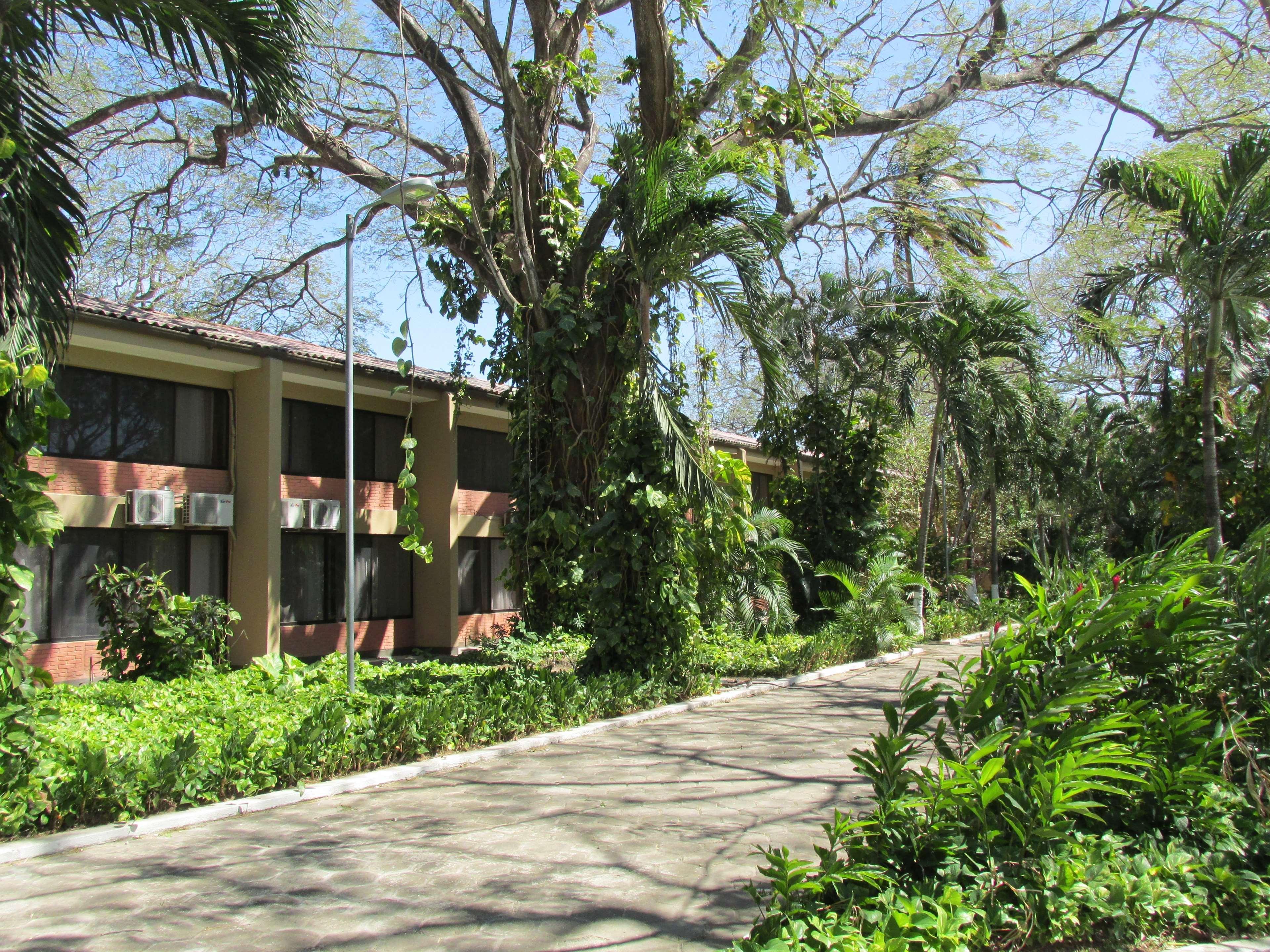 Best Western El Sitio Hotel & Casino Liberia Buitenkant foto